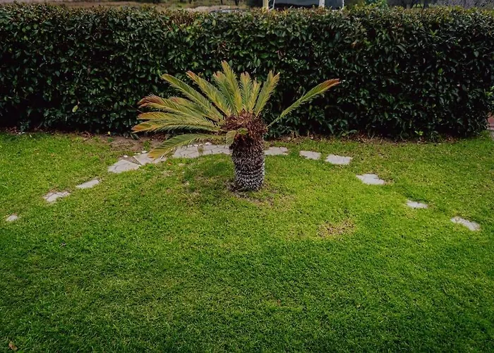 فيلة Papa's House *