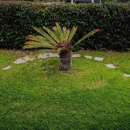 Villa Papa's House *