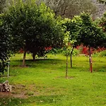 Papa's House